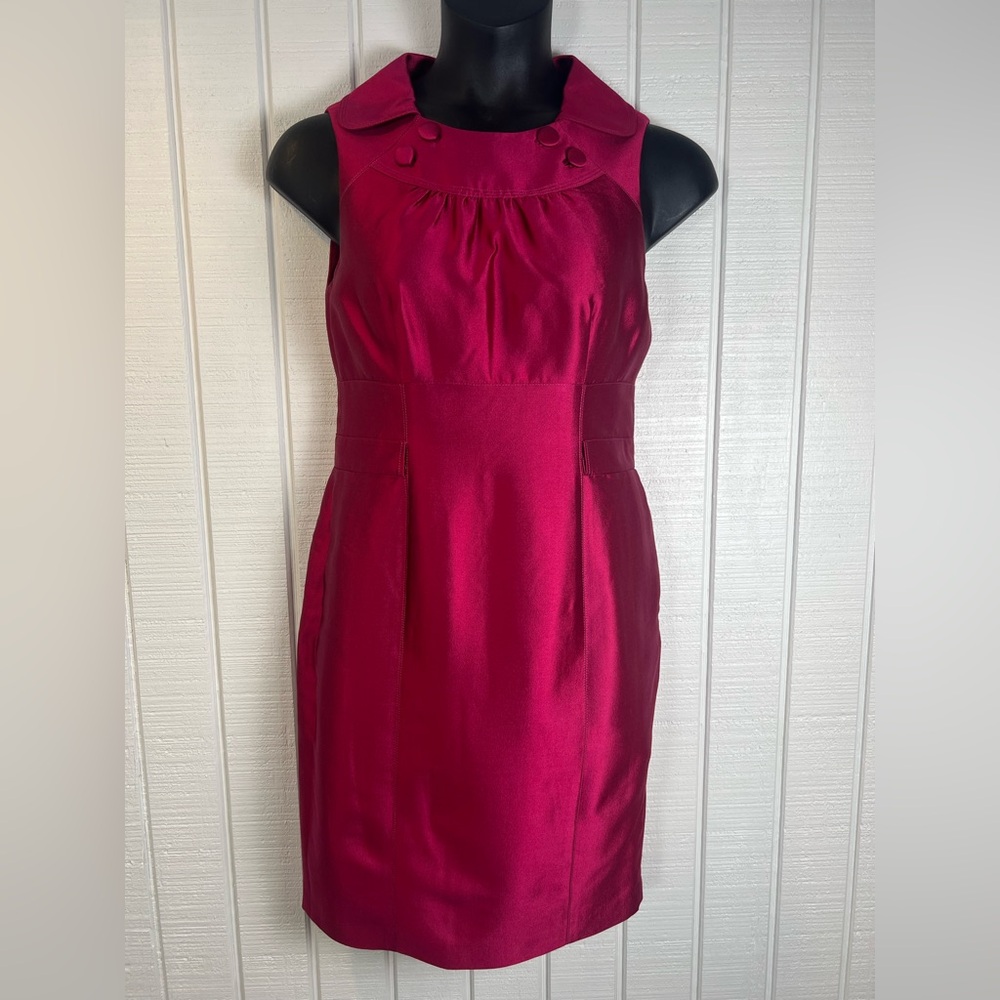Kay Unger Silk Dress Size 10 Raspberry Color